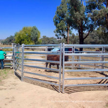 Australian Standard 2.1 M X 1.8 M Oval Rail Livestock Cattle Yard Panel